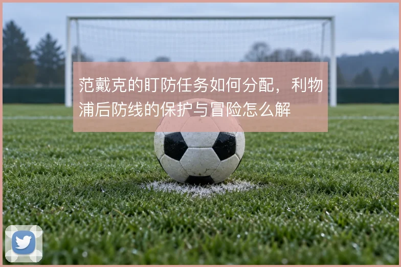 范戴克的盯防任务如何分配，利物浦后防线的保护与冒险怎么解